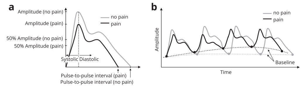 Clinical Predictive Modeling