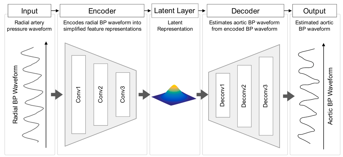 Biosignal Modeling