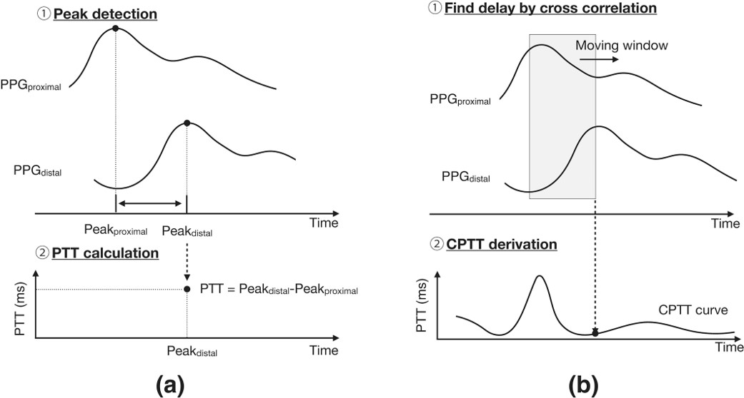 Physiologic Mechanism Modeling