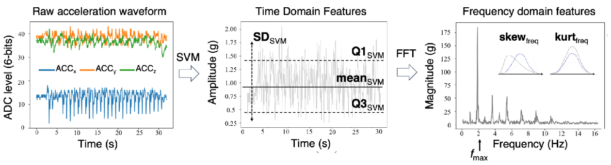 Digital Biomarkers & Sensor Analytics